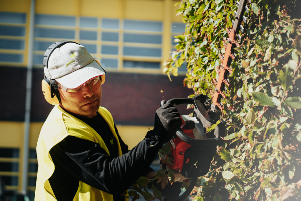 Pruning your hedges in spring gives your gardin more greenery in summer.