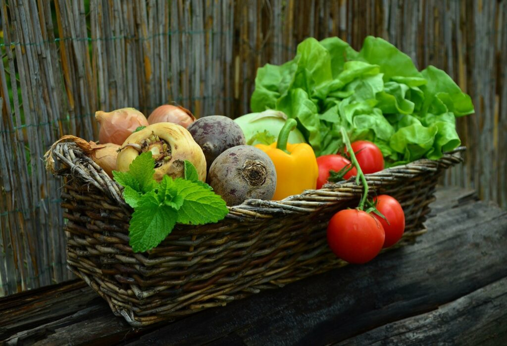 In de lente werken in de tuin levert je later lekkere groenten op. 
groenten - légumes - vegetables